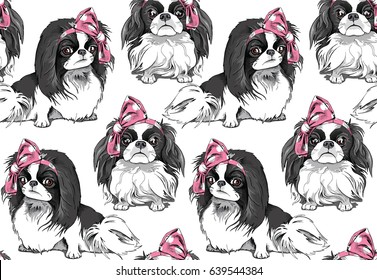 Seamless pattern with a Japanese Chin dog in a pink polka dot Headband. Vector illustration.