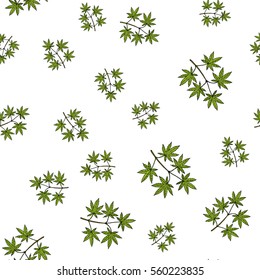 Seamless pattern with japanese-maple. Vector illustration