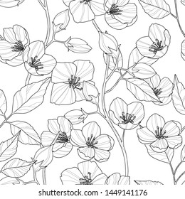 Seamless pattern of jasmine flowers and leaves, vector