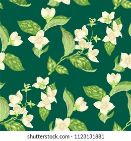 Seamless pattern with jasmine flowers in realistic graphic vector illustration on marine green background