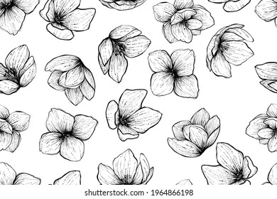 Seamless pattern of jasmine flowers, vector, monochrome