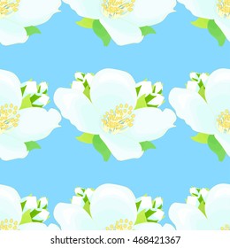 seamless pattern with jasmine on a blue background vector illustration