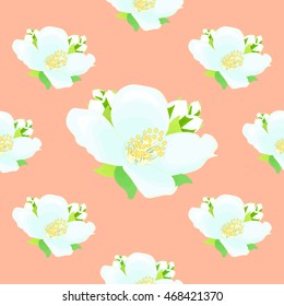 seamless pattern with jasmine on a pink background vector illustration