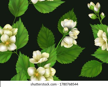 Seamless pattern with Jasmine. Realistic vector illustration. Floral ornament.