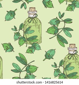 Seamless pattern with jojoba nuts and bottle of essential oil. Cosmetic, perfumery and medical plant. Vector hand drawn