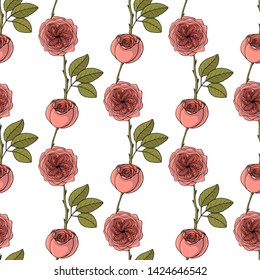 Seamless pattern with juliet garden rose flowers, nature floral background, stock vector illustration.
