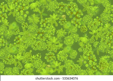 Seamless pattern. Jungle top view. 
Various trees, palm trees and plants. View from above.