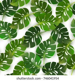 Seamless pattern with jungle tropical monstera leaves, vector illustration. Texture for wallpapers, textile design, web page backgrounds