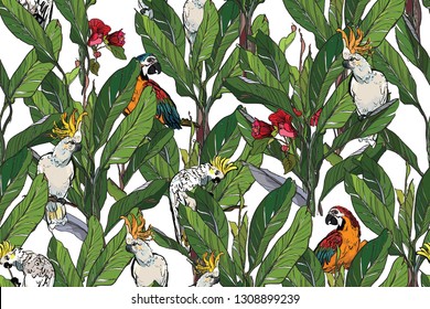 Seamless Pattern Jungle Tropical Rainforest with Exotic Birds on Leaves, Many Colorful Cockatoo Parrots 
