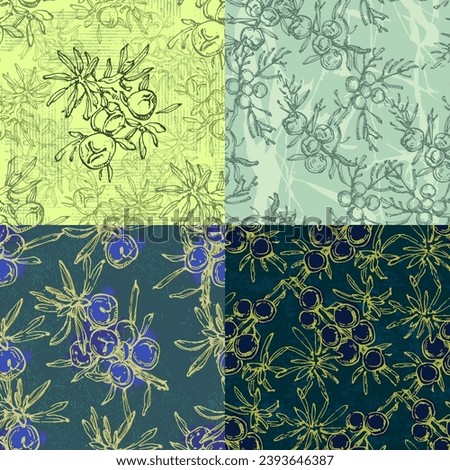 Seamless pattern with juniper: berries juniper and a branch. Cosmetics and medical plant. Hand drawn illustration Vintage holiday decor.