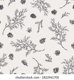 Seamless pattern with juniper branches and larch cones. Vector illustration in an engraving style. Black and white.