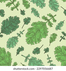 Seamless pattern with kale: kale plant and kale leaves. Brassica oleracea. Vector hand drawn illustration. 