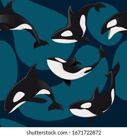 Seamless pattern of killer whale orca cartoon animal design flat vector illustration on blue background