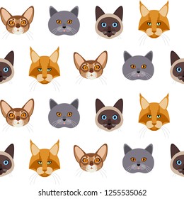 Seamless Pattern with Kitten Faces on White Background. Vector Illustration with British, Main coon, Abyssinian and Siamese Cat.