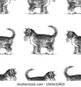 Seamless pattern of kitten sketches