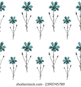 Seamless pattern of Knapweed, Centaurea flower with leaves and buds. Colorful meadow plant drawing in engraving vintage style on white background. Botanical hand drawn illustration