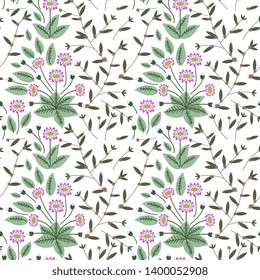 Seamless pattern with knotweed and daisies