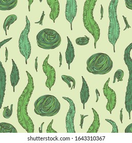 Seamless pattern with kombu: kombu seaweed, sea kale. Laminaria japonica. Brown algae. Edible seaweed. Vector hand drawn illustration.