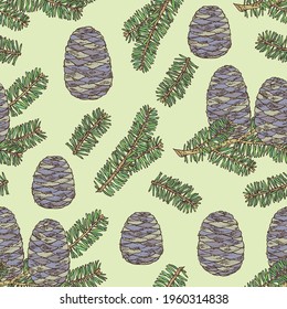 Seamless pattern with korean fir: branch of korean fir with abies koreana cone. Cosmetics and medical plant. Vector hand drawn illustration.