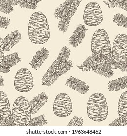 Seamless pattern with korean fir: branch of korean fir with abies koreana cone. Cosmetics and medical plant. Vector hand drawn illustration.