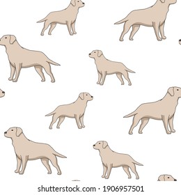 Seamless pattern with labrador retriever dog