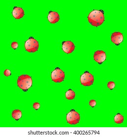 Seamless pattern with ladybirds on a green background
