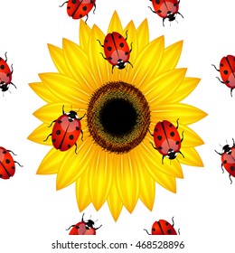Seamless pattern with ladybirds and sunflower.