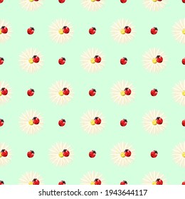 Seamless pattern with ladybugs and daisies on a green background