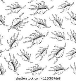 seamless pattern Lambis Scorpion conch Chicoreus aculeatus, large sea snail Unique shells, molluscs Gastropoda. Sketch black contour on white background. Vector