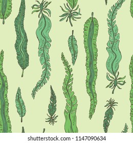 Seamless pattern with laminaria: laminaria seaweed, sea kale. Brown algae. Edible seaweed. Vector hand drawn illustration.