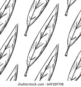 Seamless Pattern Of  Lanceolate Leaves Hand Drawn Sketch Outline