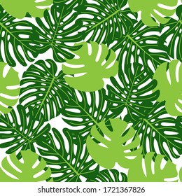 Seamless pattern. Large green leaves of a monstera or palm tree. Tropical story. Vector drawing.
