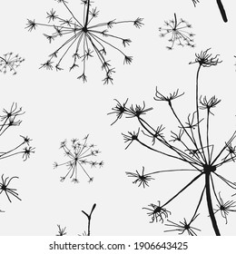 Seamless pattern with large inflorescences of field herbs on a white background