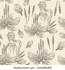 Seamless pattern with large plantain: large plantain plant, leaves and bottle of large plantain oil. Plantago major Vector hand drawn illustration