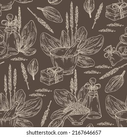 Seamless pattern with large plantain: large plantain plant and leaves. Plantago major. Oil, soap and bath salt . Cosmetics and medical plant. Vector hand drawn illustration