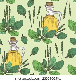 Seamless pattern with large plantain: large plantain plant, leaves and bottle of large plantain oil. Plantago major Vector hand drawn illustration