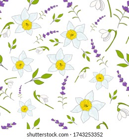 Seamless pattern with lavender, daffodil and snowdrop flowers for celebrate holiday. Vector hand draw  Illustration EPS10