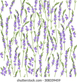 Seamless pattern with lavender.  Seamless pattern for fabric, paper and other printing and web projects