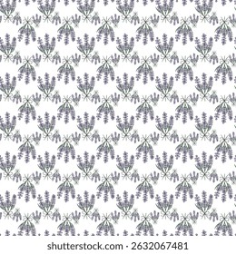 Padrão sem costura com Lavanda Design floral no fundo branco