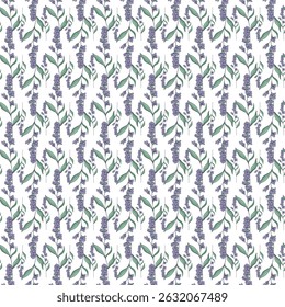 Padrão sem costura com Lavanda Design floral no fundo branco
