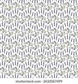 Patrón sin fisuras con diseño floral de lavanda sobre fondo blanco