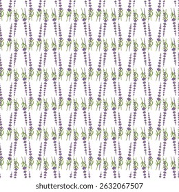 Patrón sin fisuras con diseño floral de lavanda sobre fondo blanco