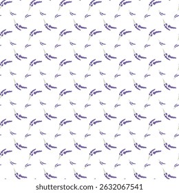 Padrão sem costura com Lavanda Design floral no fundo branco
