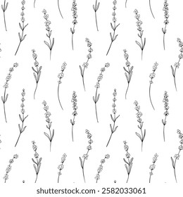 Seamless pattern of Lavender flower. Floral vector background with lavendula branches. Hand drawn salvia illustration in monochrome. Outline print for fabric, textile, wallpaper, packaging.