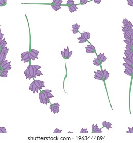 seamless pattern lavender flower on white background