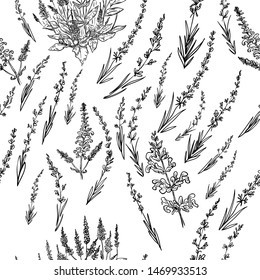 Seamless pattern with lavender flowers.