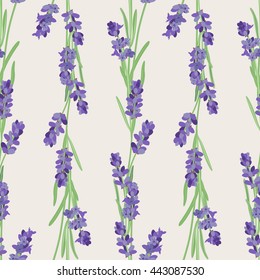 Seamless pattern with lavender flowers. Bright vector seamless background with sprigs of lavender.