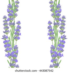 Seamless pattern with lavender flowers. Bright vector seamless background with sprigs of lavender.