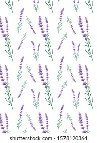 Seamless pattern with lavender flowers isolated on a white background.