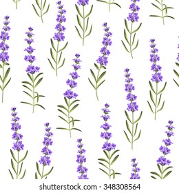 Seamless pattern of lavender flowers on a white background. Watercolor pattern with Lavender for fabric swatch. Vector illustration.